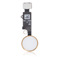 Home Button With Flex Cable For iPhone 7 / 7 Plus / 8 / 8 Plus / SE (2020) / SE (2022) (Gold) (Warning: For Cosmetic Use Only)