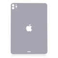 Back Skin For iPad Pro 11" 4th Gen (2022) (Space Gray)