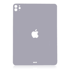 Back Skin For iPad Pro 11" 4th Gen (2022) (Space Gray)