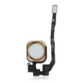 Home Button With Flex Cable For iPhone 5S / SE (2016) (Gold)