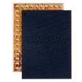 Charging Power Boost IC Chip For iPhone 14 Series / 15 Series / 16 Series (338S00843)