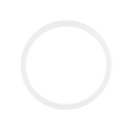 Back Camera Lens O-Ring Gasket For iPhone 8 / SE (2020) / SE (2022) (100 Pack)