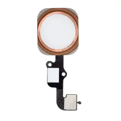 Home Button With Flex Cable For iPhone 6S / 6S Plus (Rose Gold)