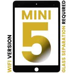 Front Glass For iPad Mini 5 (Glass Separation Required) (WiFi Only) (Black)