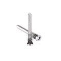 Security Screw For iPhone 12 Pro / 12 Pro Max (Service Pack) (Silver) (100 Pack)