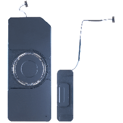 Loudspeaker For iPad Pro 13" 7th Gen (2024) (WiFi Only) (Genuine OEM)